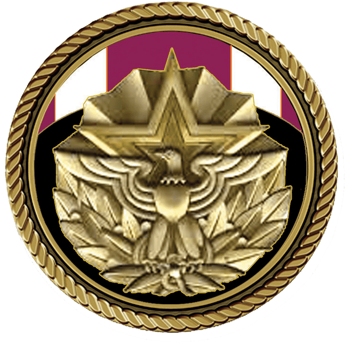 U.S. Armed Forces Meritorious Service - 3D Bronze Medallion – Hero ...