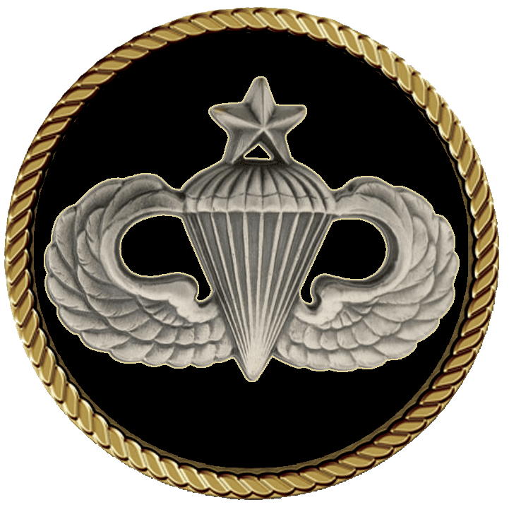 Parachutist wings with star emblem.