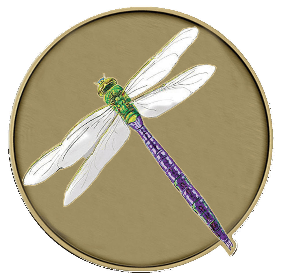 A picture of a dragonfly with purple wings.